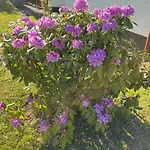 Erholung Im Westerwald ! 아파트 하헨부르크