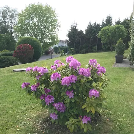 Erholung Im Westerwald ! Apartment *
