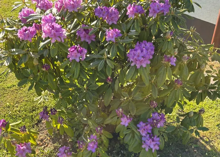 Erholung Im Westerwald ! דירה הכנבורג