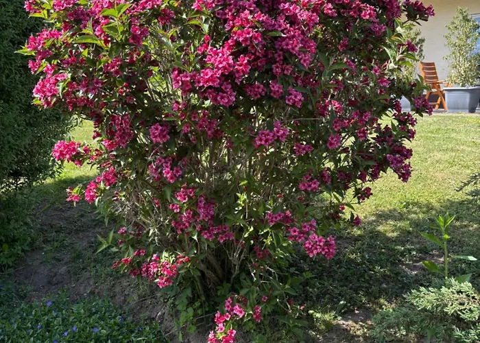 דירה Erholung Im Westerwald ! הכנבורג